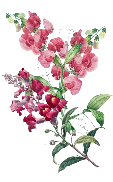 Flower Spray